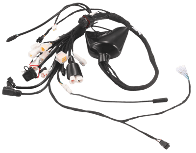 E-Ride Pro - SR - OEM Wire Harness
