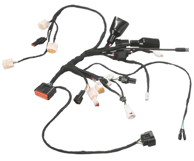 E-Ride Pro - Mini R - OEM Wire Harness