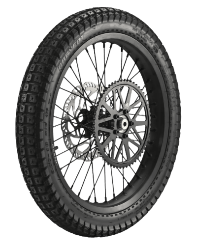 E-Ride Pro - SS 3.0 - OEM Rear Wheel Assembly