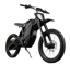 E-Ride Pro - SS 4.0 - OEM Battery Pack — view 4 of 4