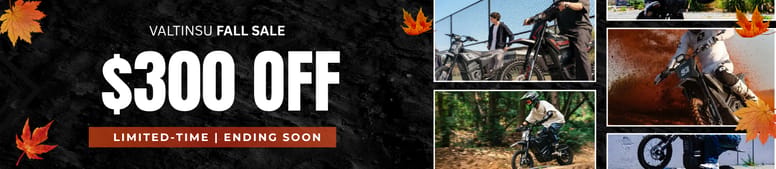VAlTINSU SALE
