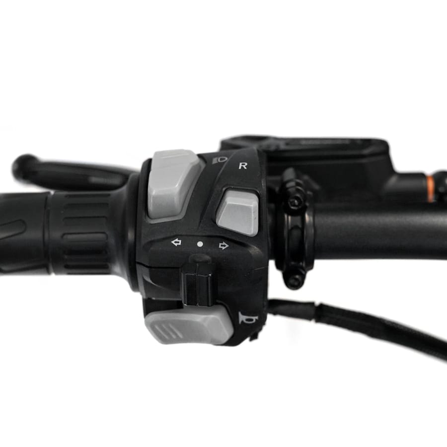 2026 Throne Cycles SRPNT   X3 — view 22 of 24