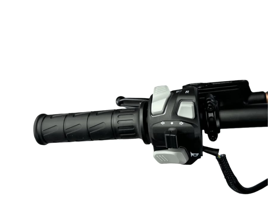 2026 Throne Cycles SRPNT   X3 — view 13 of 24